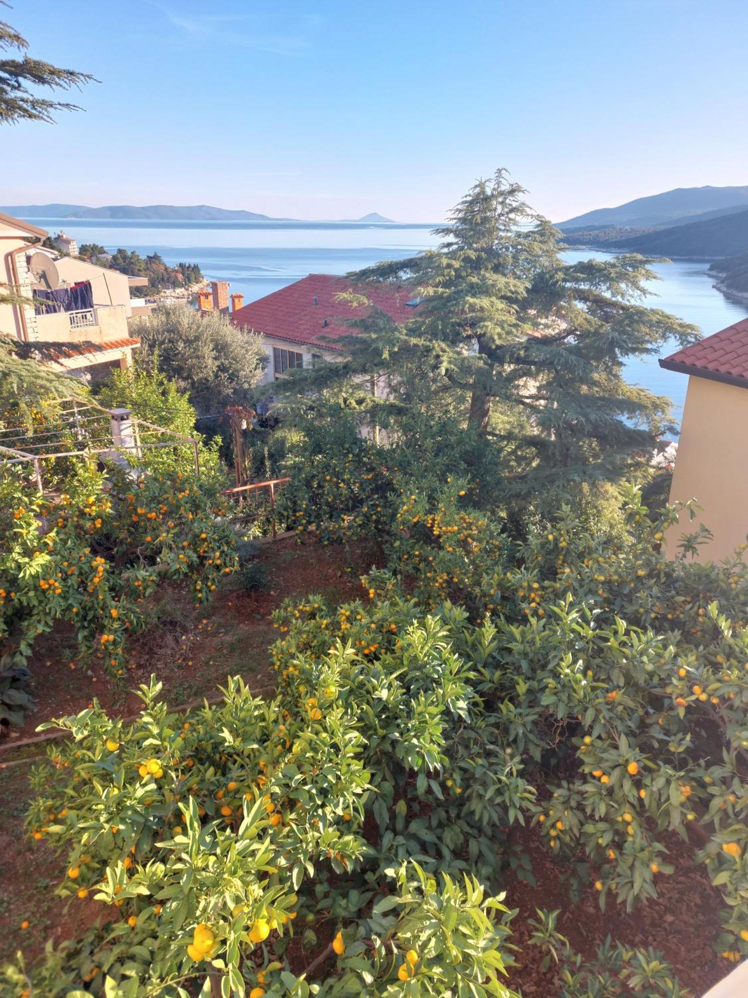 Casa Panorama Sunset Apartment Rabac Bagian luar foto